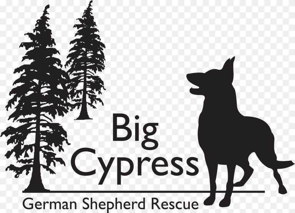Big Cypress German Shepherd Rescue, Silhouette, Tree, Plant, Stencil Free Transparent Png