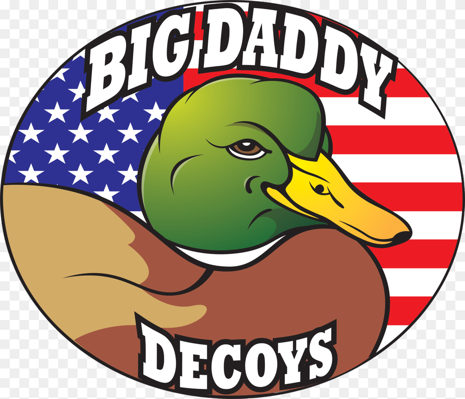 Big Daddy Decoys Mallard, Animal, Bird, Duck, Baby Free Transparent Png