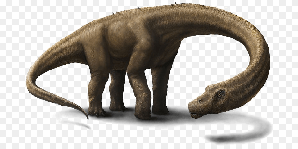 Big Dinosaurs In The World, Animal, Dinosaur, Reptile, T-rex Free Transparent Png