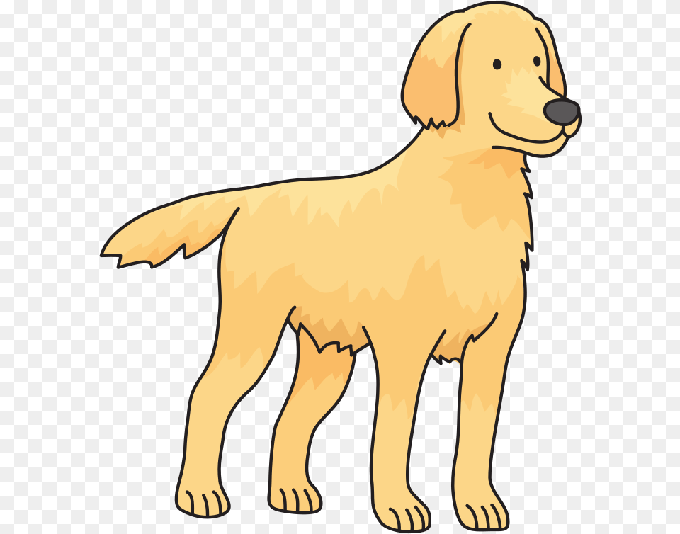 Big Dog Transparent Background Dog Clipart, Animal, Canine, Golden Retriever, Mammal Png Image