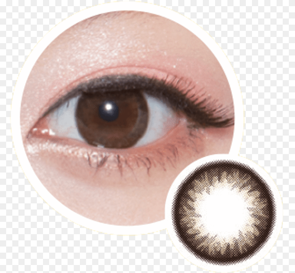 Big Eyes Replacement Schedule Geolica Holicat Lovely Geolica Holicat Lovely Choco, Contact Lens, Baby, Person Free Png Download