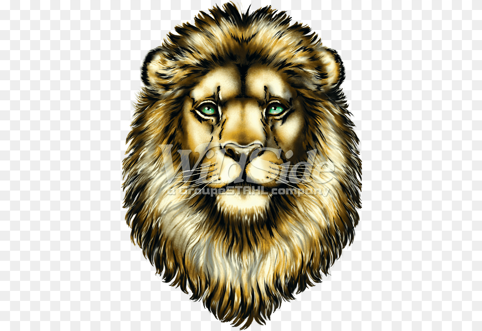 Big Face Roaring Lion Adult T Shirt The Mountain Masai Lion, Animal, Mammal, Wildlife Free Transparent Png