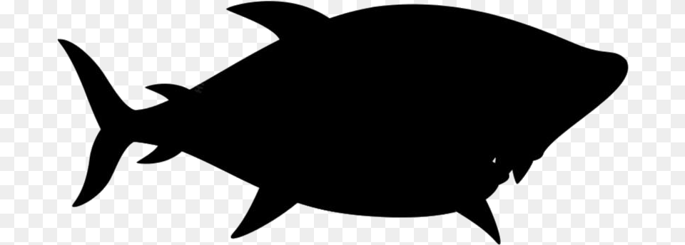 Big Fish Image Clipart, Animal, Sea Life, Tuna, Shark Png