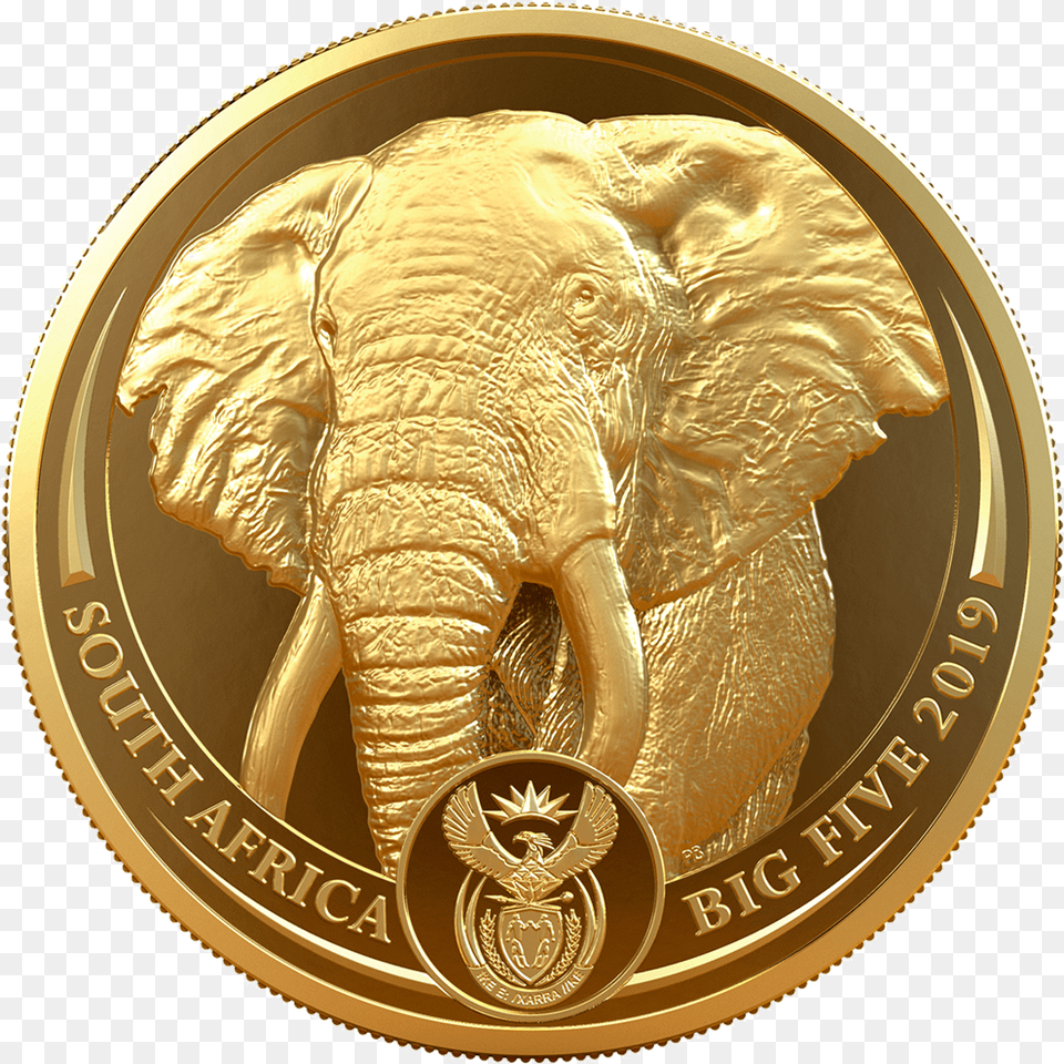 Big Five Elephant 1 Oz Emkcom South African Gold Coin, Animal, Mammal, Wildlife Png Image