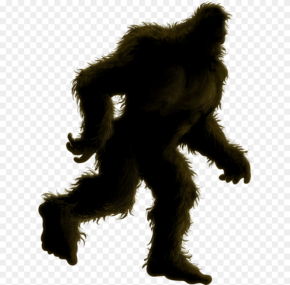 Big Foot Shirt, Animal, Mammal, Monkey, Wildlife Free Png