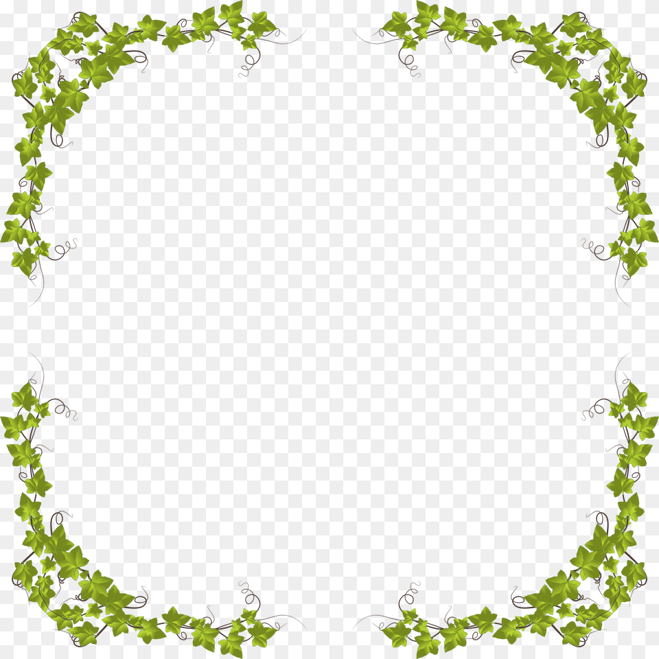 Big Image, Plant, Vine, Ivy Free Png Download