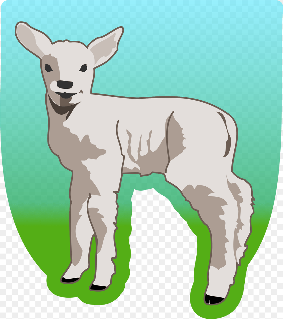 Big Image Baby Lamb Shower Curtain, Livestock, Animal, Mammal, Sheep Free Transparent Png
