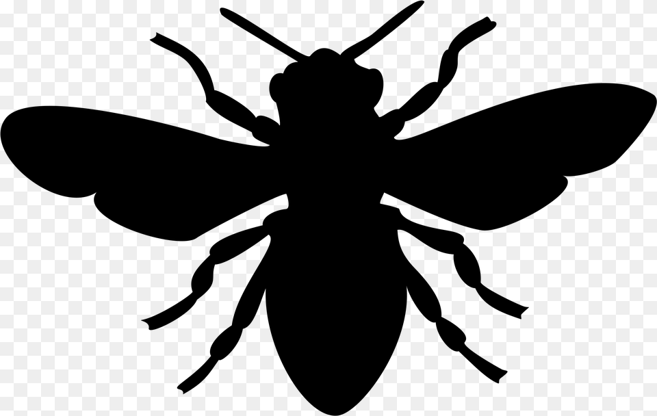 Big Bee Black And White, Gray Png Image