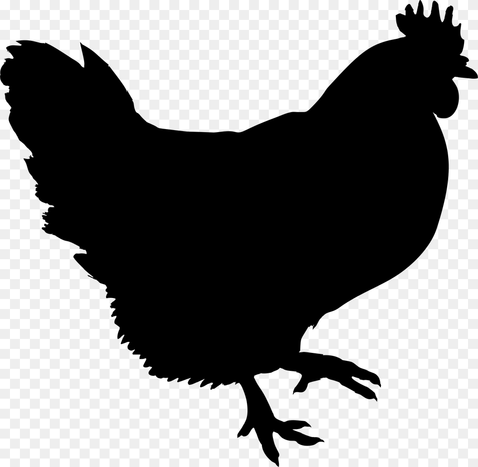 Big Black Chicken Clip Art, Gray Png Image