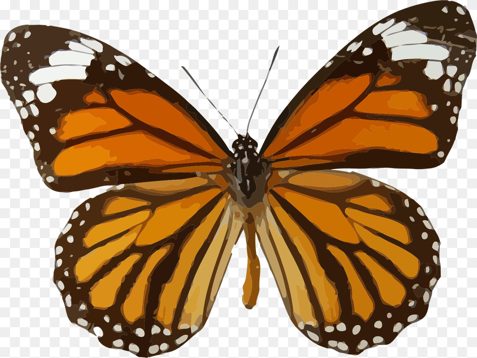 Big Image Butterfly Brown And Orange, Animal, Insect, Invertebrate, Monarch Free Transparent Png