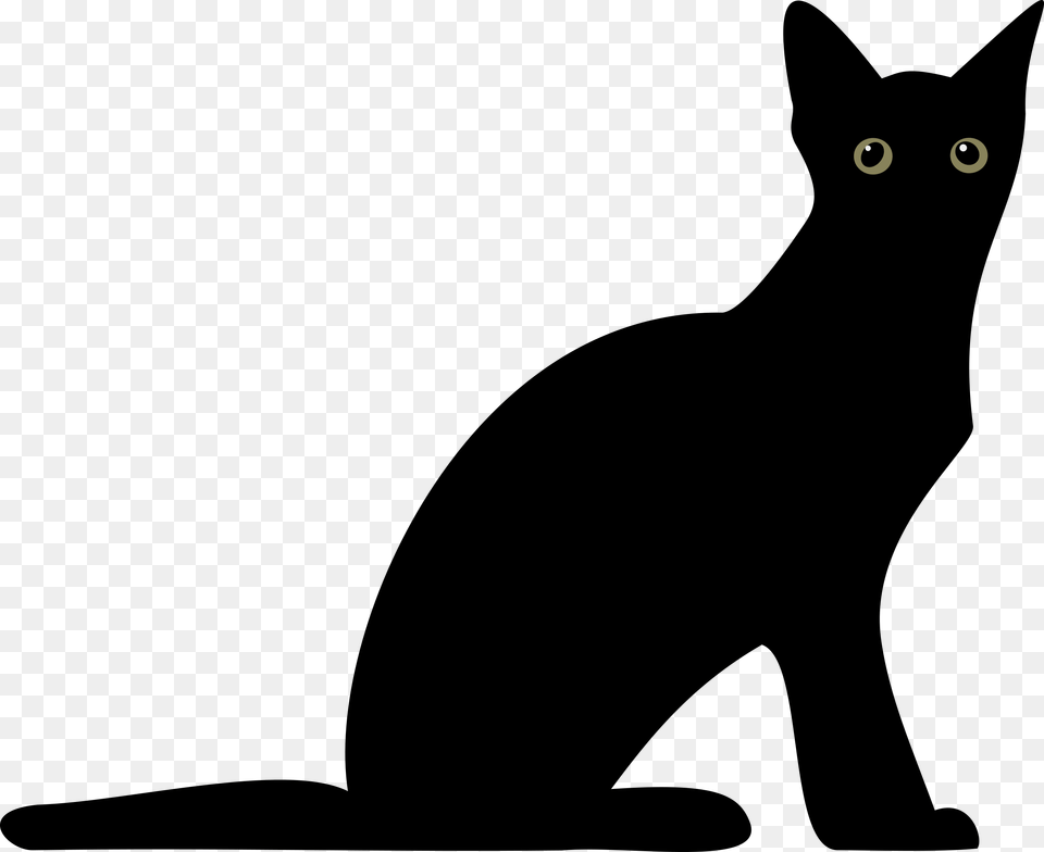 Big Image Cat Silhouette Transparent Free Png