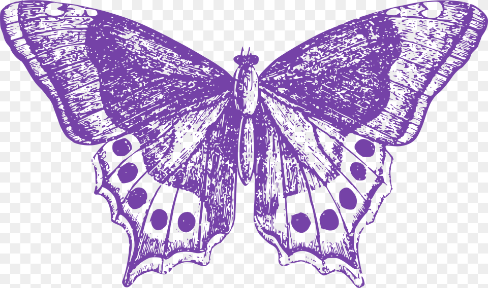Big Image Cipher Disk, Purple, Insect, Animal, Butterfly Free Png
