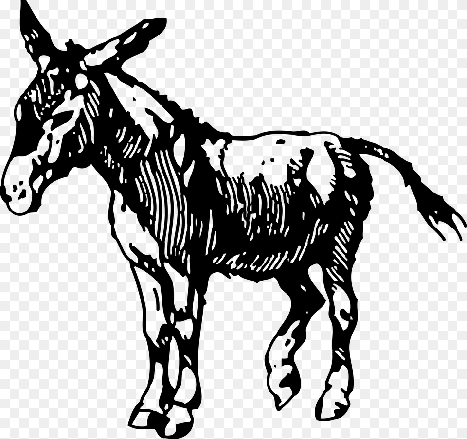 Big Image Donkey Clipart, Gray Free Png