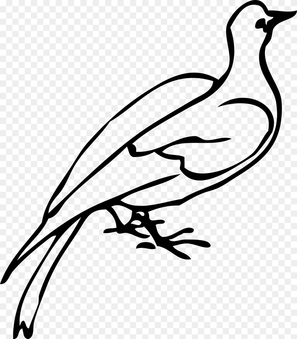 Big Image Dove Clip Art, Gray Free Transparent Png
