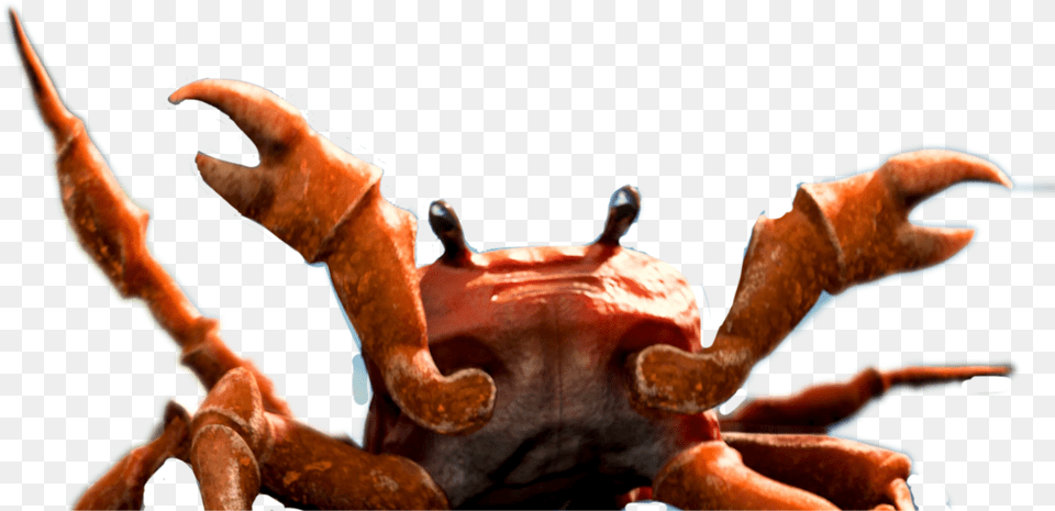 Big Image Download Crab Rave Baby, Person, Hardware, Electronics Free Transparent Png