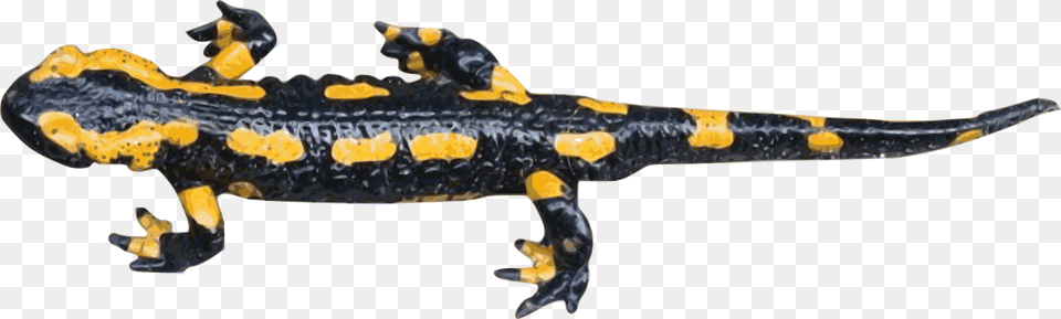 Big Image Figurine, Amphibian, Animal, Salamander, Wildlife Free Png