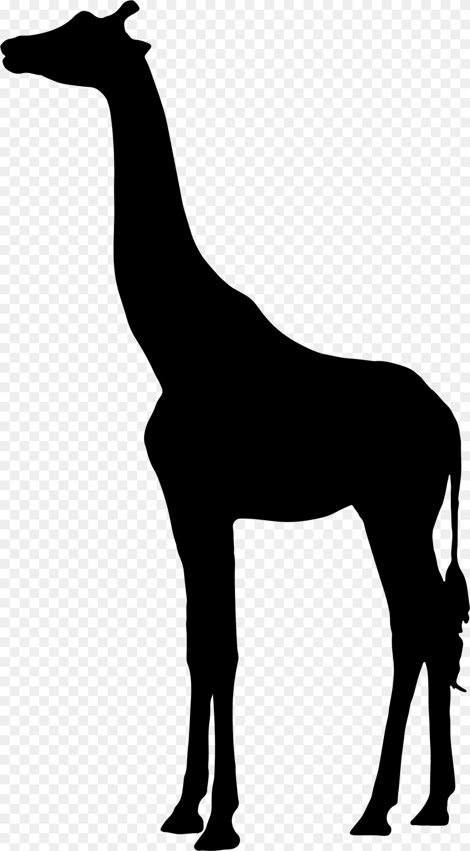 Big Image Giraffe Silhouette, Gray Png