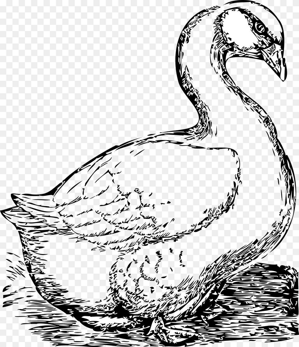 Big Goose Clip Art, Animal, Beak, Bird, Vulture Png Image