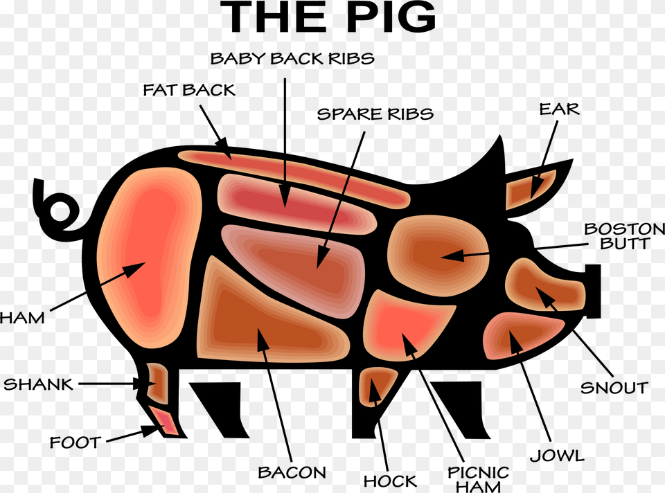 Big Image Infographic Pig, Body Part, Hand, Person, Accessories Png