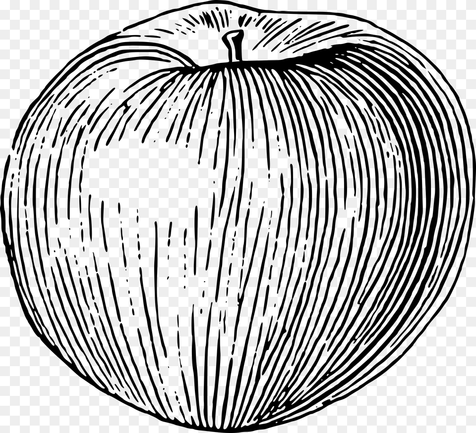Big Line Drawing Of An Apple, Gray Png Image