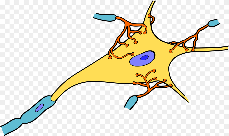 Big Image Neuron Free Png