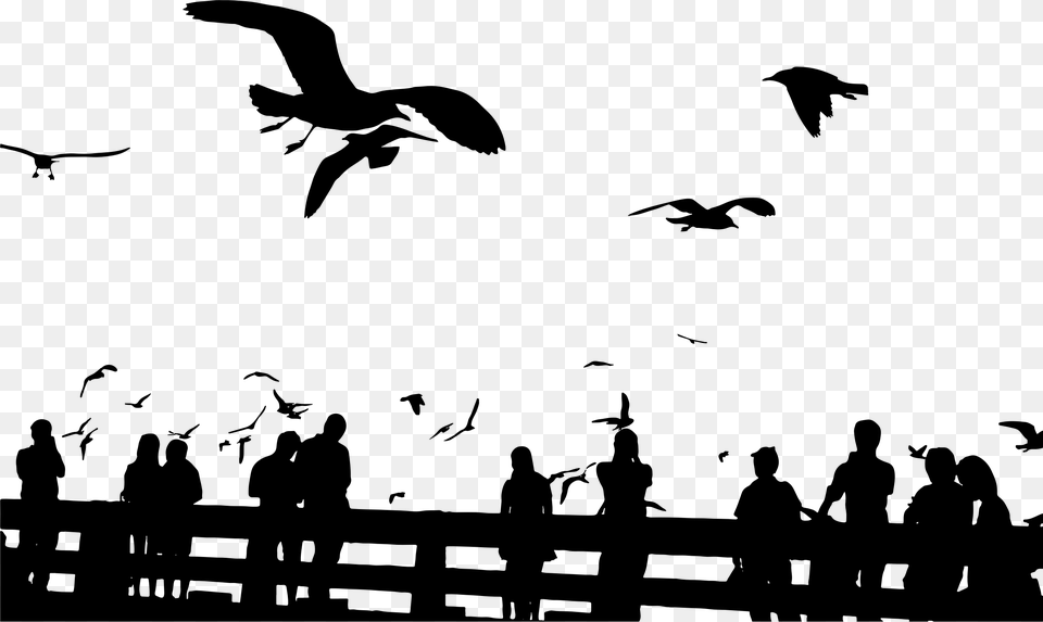 Big Image People Bird Silhouette, Gray Free Png Download