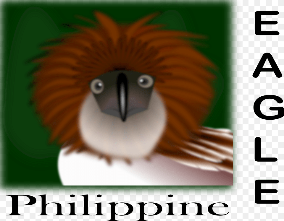 Big Image Philippine Eagle In A Flag, Animal, Beak, Bird Free Png