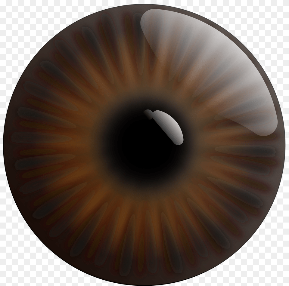 Big Image Pupil Vector, Hole, Disk, Accessories, Sphere Free Png