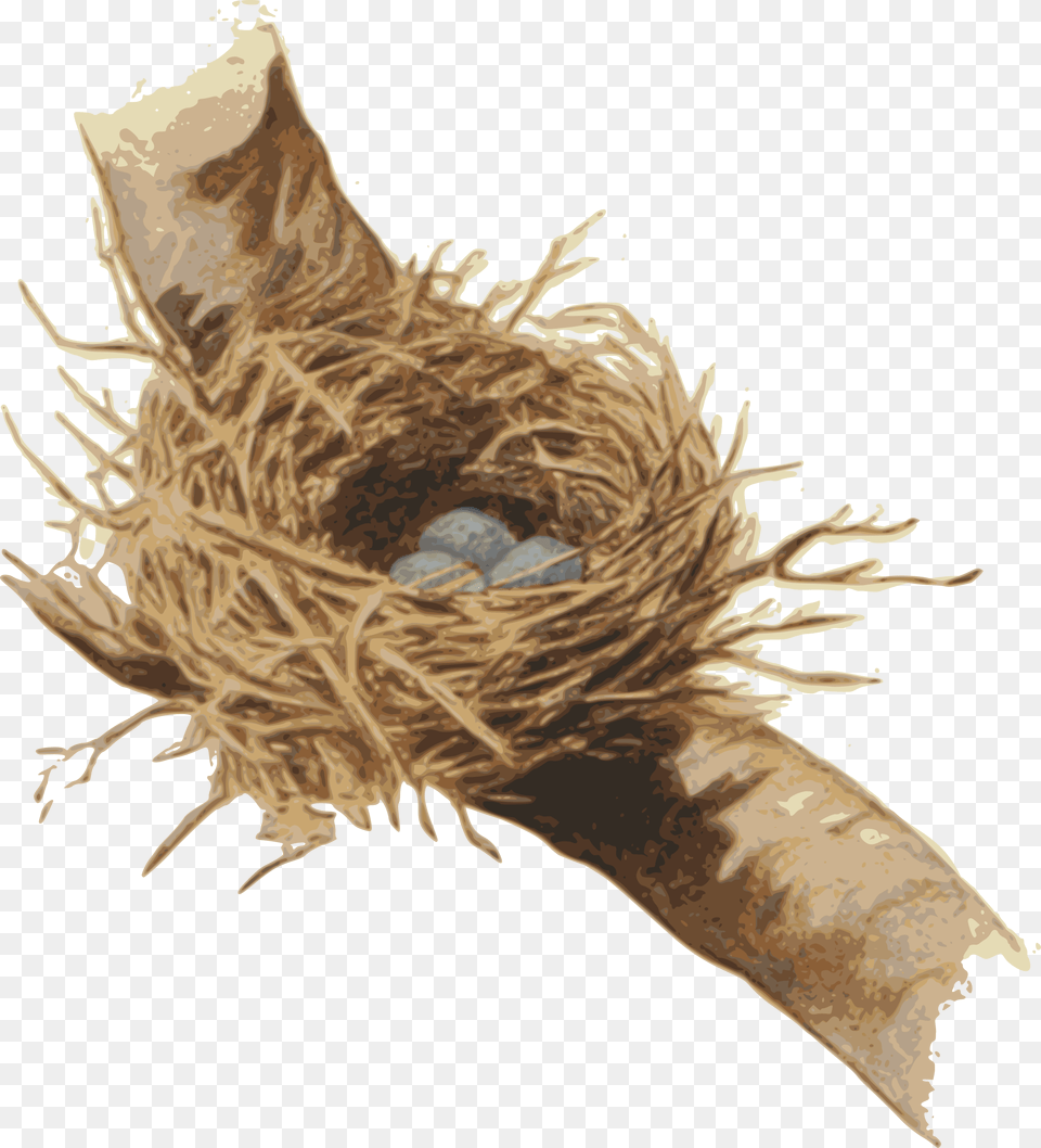 Big Image Root, Animal, Fish, Nest, Sea Life Png