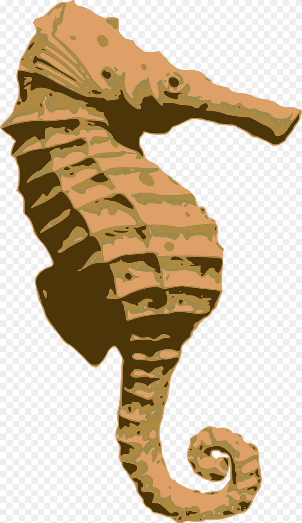 Big Image Seahorse, Animal, Mammal, Sea Life, Baby Free Transparent Png