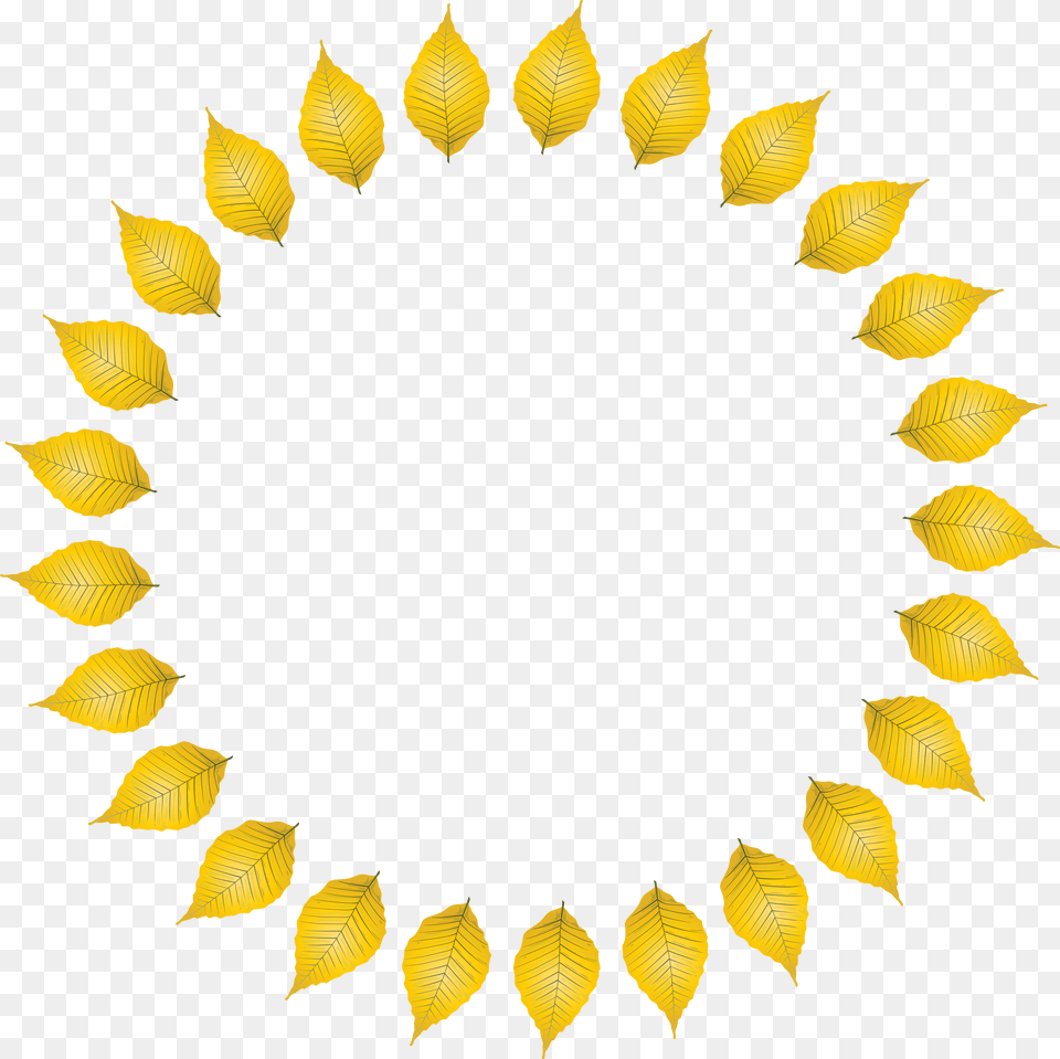 Big Image Stick People In A Circle, Flower, Petal, Plant, Sunflower Free Png