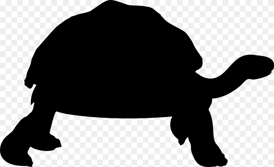 Big Image Tortoise, Gray Png