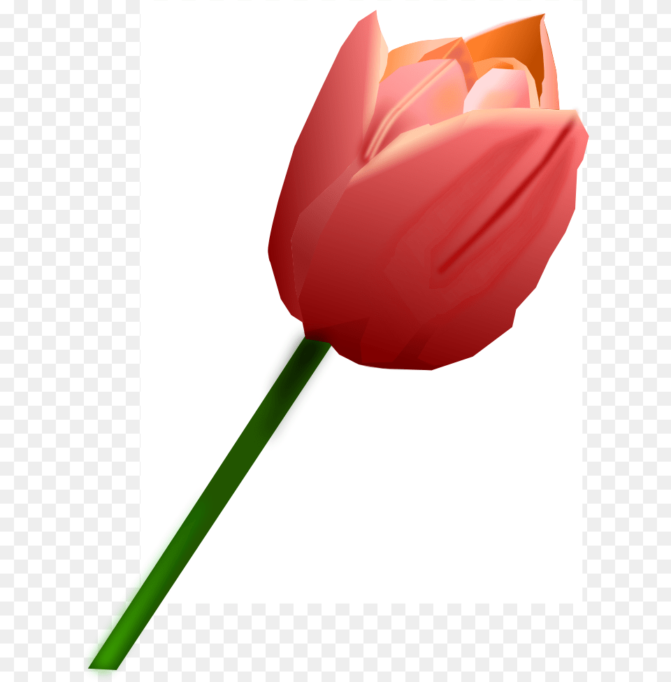 Big Image Tulipan Rojo, Flower, Plant, Tulip, Smoke Pipe Free Png