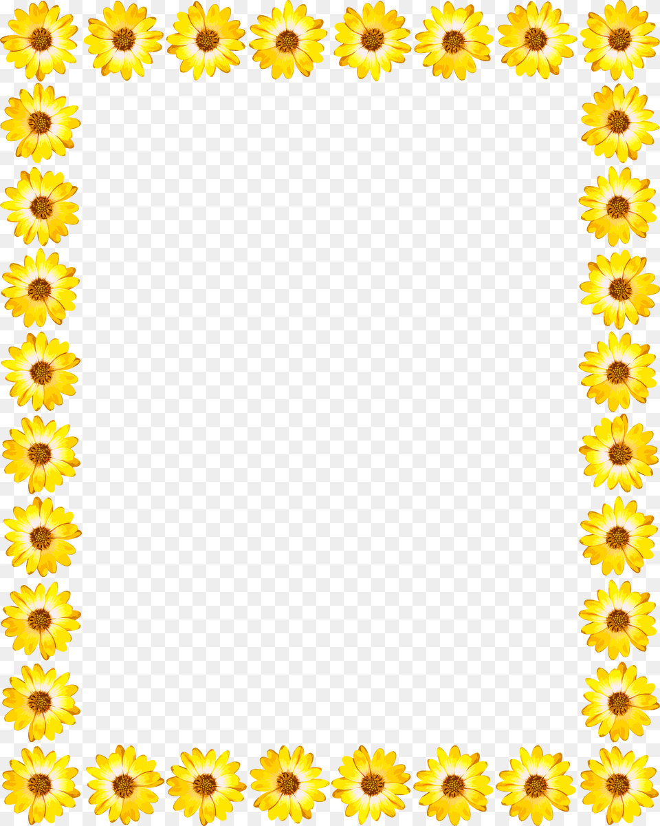 Big Image Yellow Star Border Clipart, Flower, Plant, Daisy, Sunflower Free Png Download
