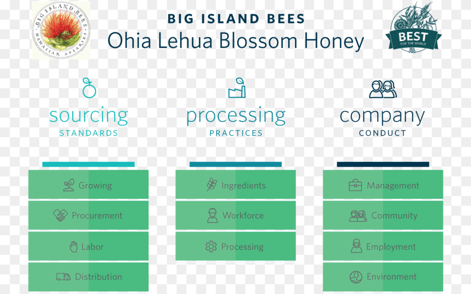 Big Island Bees Illustrator, Text Free Transparent Png