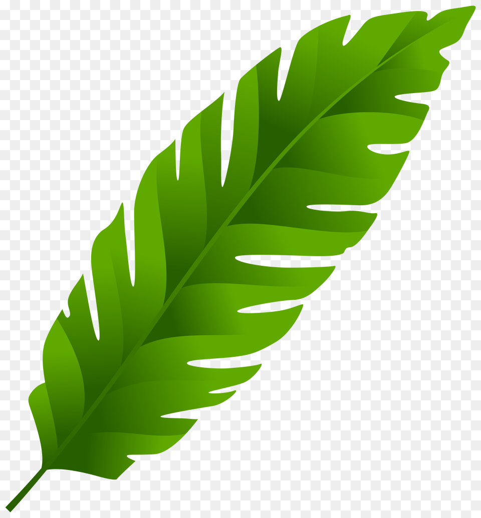 Big Leaf Clipart Big Leaf Clip Art Clipartimage, Plant, Green, Person Free Png