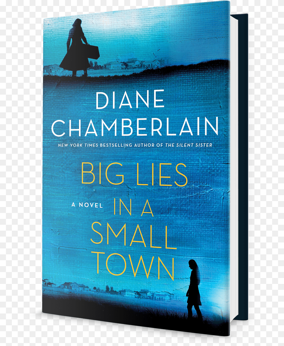 Big Lies 3d Big Lies In A Small Town By Diane Chamberlain, Book, Novel, Publication, Adult Free Png Download