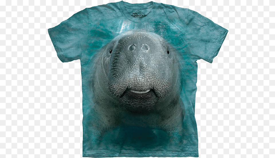 Big Manatee Face Shirt Adult Manatee Face, Animal, Bear, Mammal, Wildlife Png Image