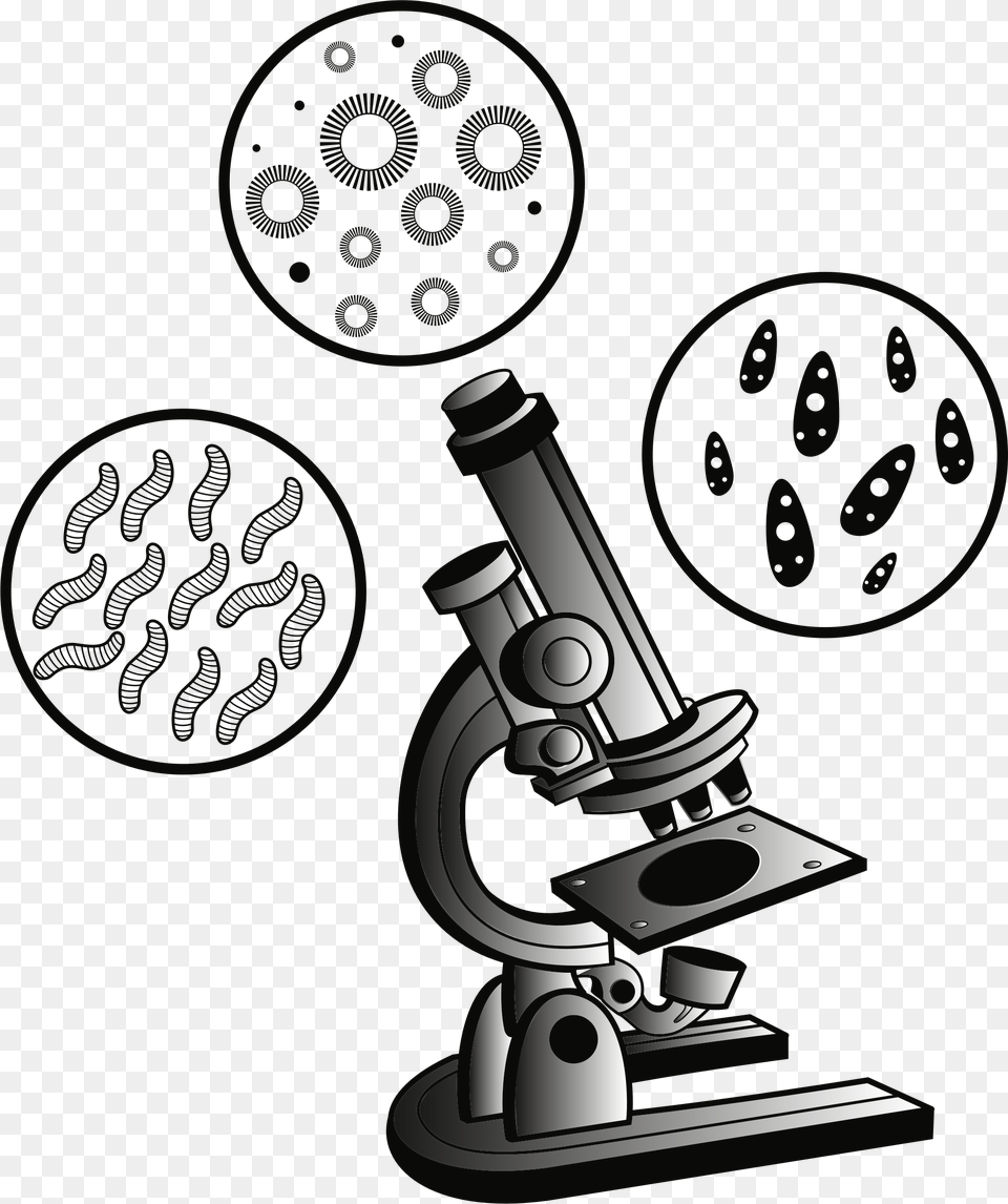 Big Microscope Clipart Free Transparent Png