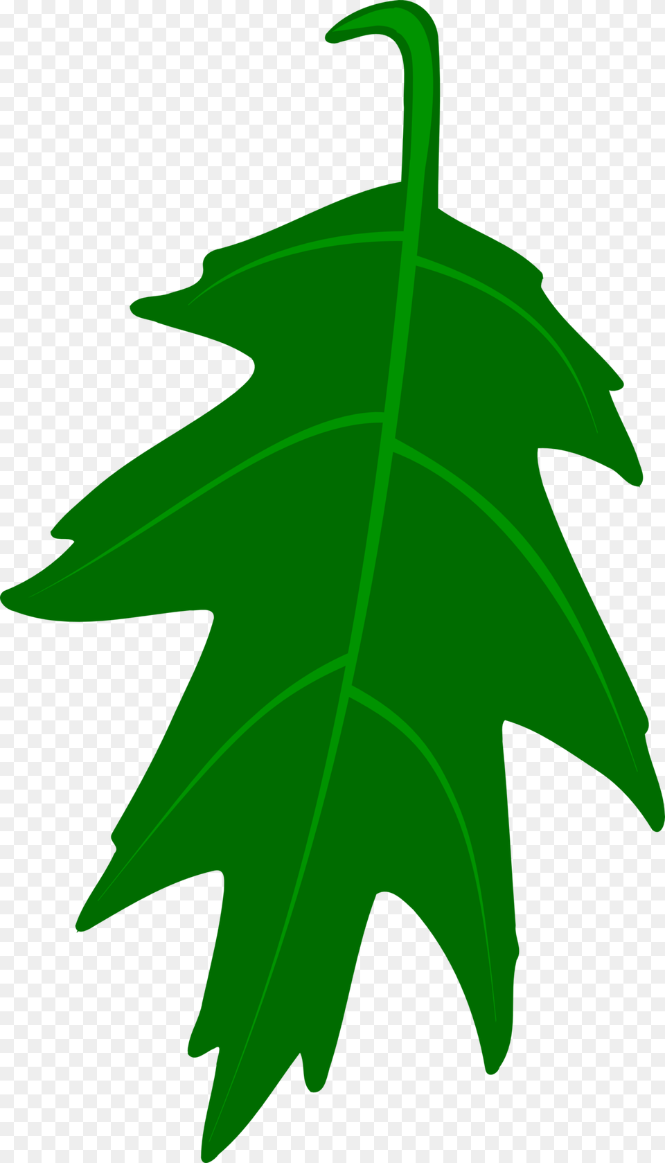 Big Oak Leaves, Leaf, Plant, Tree, Maple Leaf Free Transparent Png