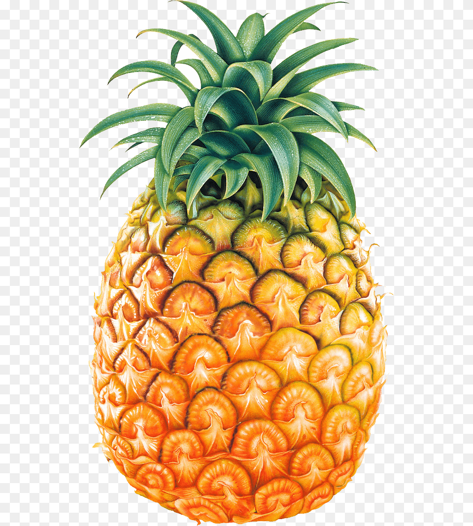 Big Pineapple, Food, Fruit, Plant, Produce Free Transparent Png