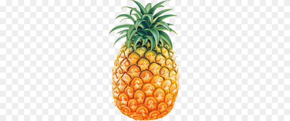 Big Pineapple Transparent, Food, Fruit, Plant, Produce Free Png