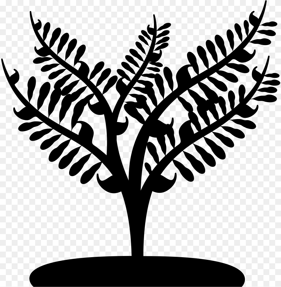 Big Plant Like A Small Tree Comments Small Tree Black And White, Leaf, Stencil, Silhouette, Art Free Transparent Png