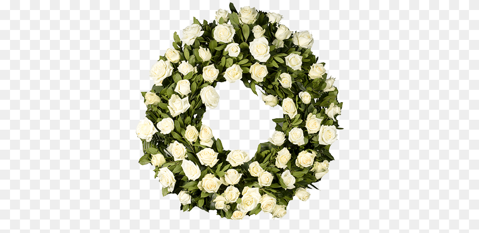 Big Roses Wreath White Rose Funeral Wreath, Flower, Plant, Flower Arrangement Png Image