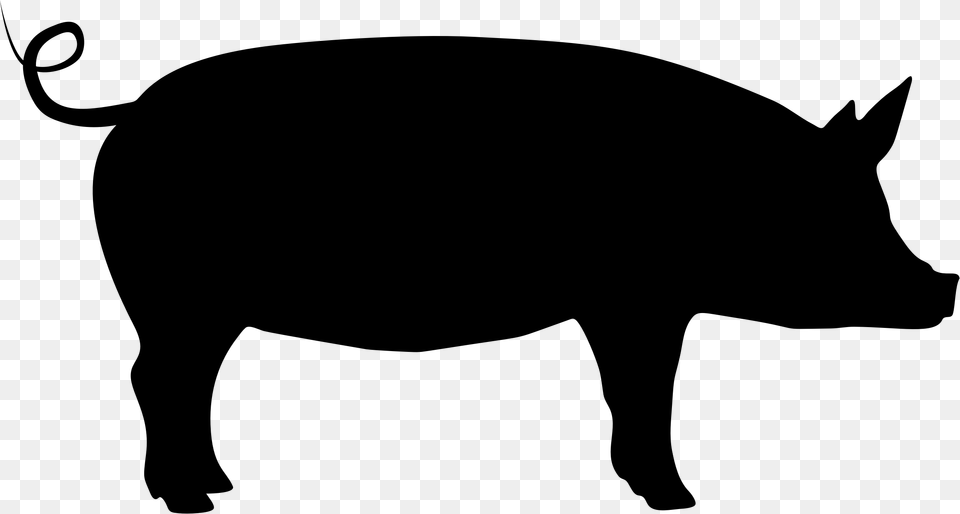 Big Silhouette Of A Bison, Gray Png Image