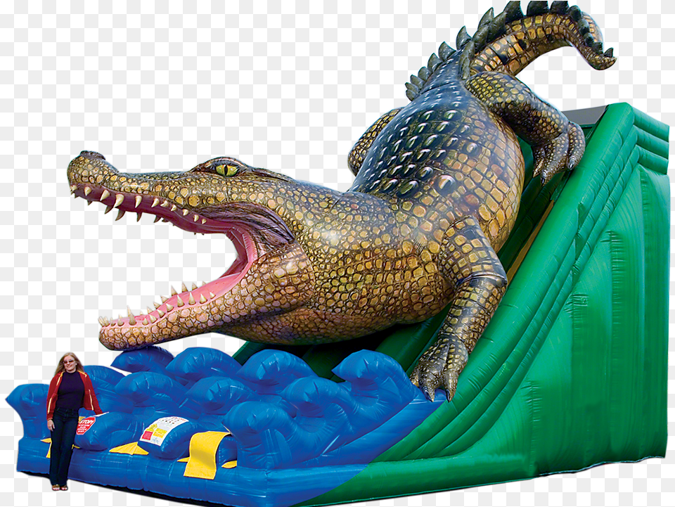 Big Slide Inflatable, Animal, Dinosaur, Reptile, Person Free Transparent Png