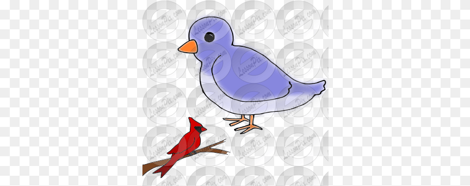 Big Small Bird Picture For Classroom Therapy Use Great Small And Big Bird Clipart, Animal, Beak, Finch, Jay Png