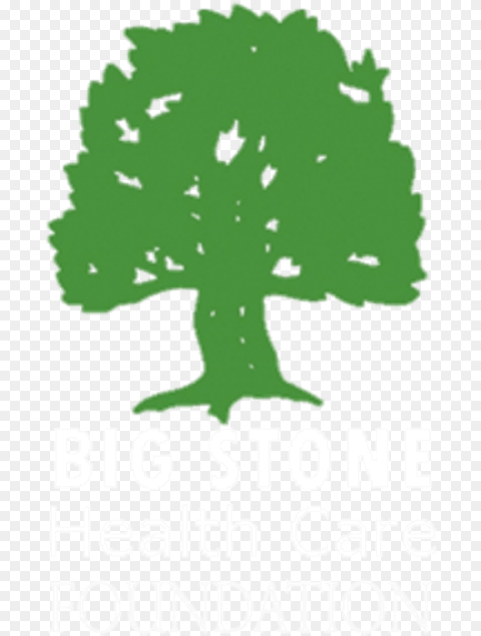 Big Stone Health Care Foundation Jack Pine, Green, Plant, Tree, Vegetation Free Transparent Png