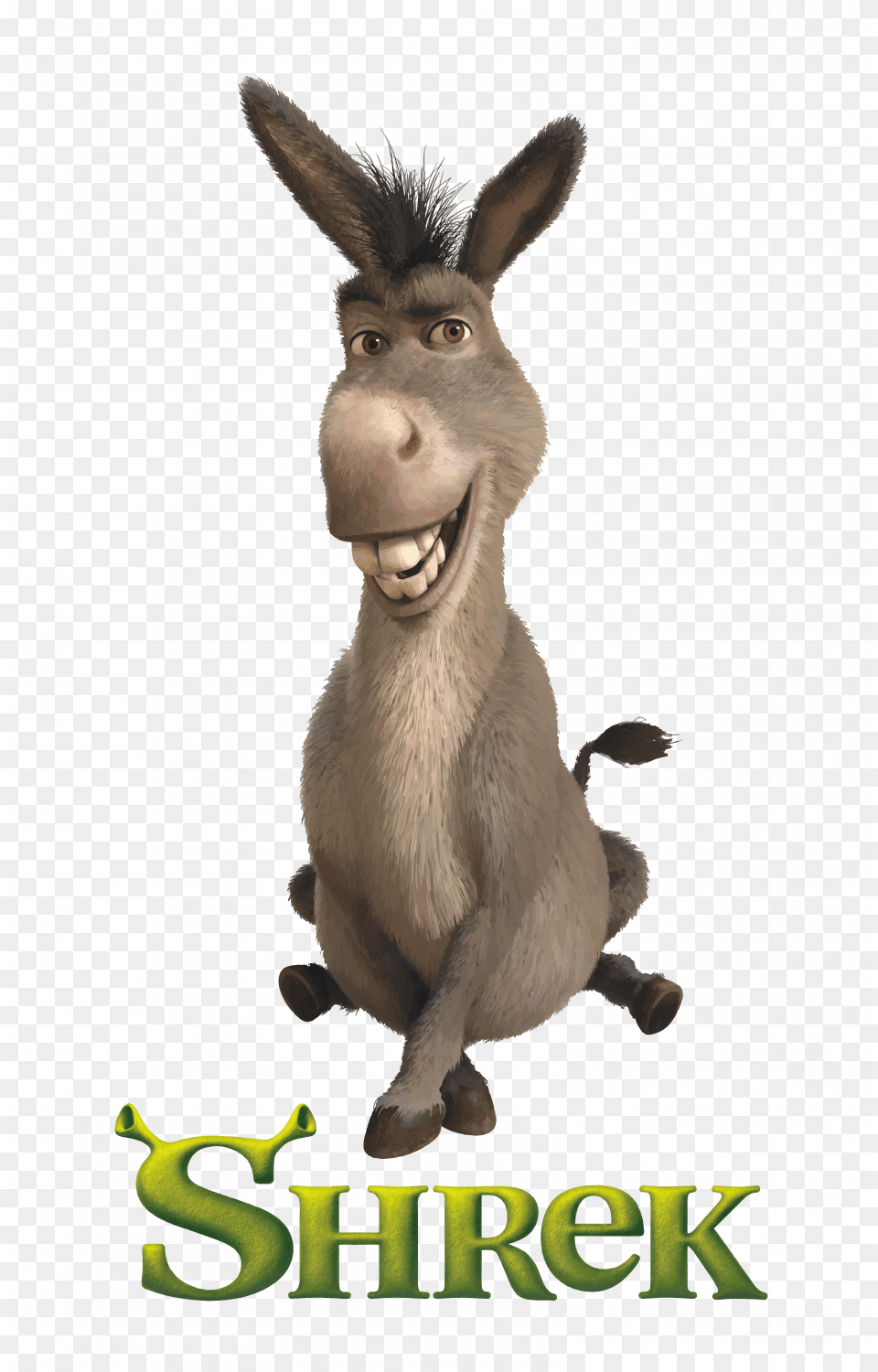 Big Teeth Cartoon Characters, Animal, Donkey, Mammal, Bird Free Transparent Png