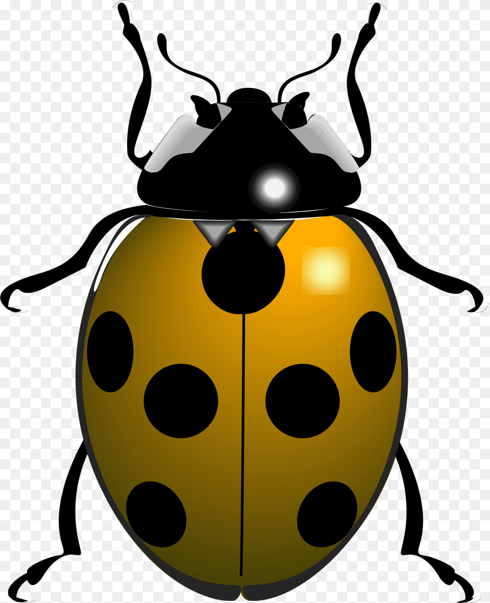 Big Things That Begin With The Letter Ladybug, Animal Free Png Download